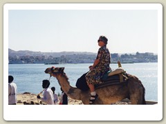 Return from our camel ride