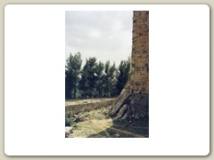 Ruins of Ajlun fortress