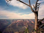 grand-canyon01.jpg (67599 bytes)