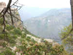 hike03.jpg (82144 bytes)