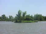 river float07.jpg (42534 bytes)