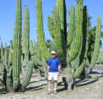 cactus02.jpg (103908 bytes)