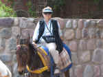 donkey03.jpg (80215 bytes)