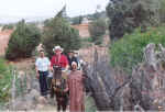 donkey20.jpg (91236 bytes)