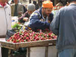 market02.jpg (81531 bytes)