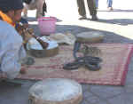 square day08.jpg (71837 bytes)