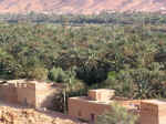 errashida02.jpg (118590 bytes)