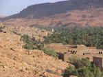 errashida05.jpg (97813 bytes)