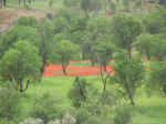 fields05.jpg (87056 bytes)