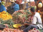 market07.jpg (109474 bytes)