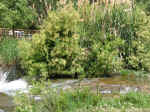 waterfall09.jpg (164589 bytes)