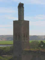 chellah10.jpg (39827 bytes)