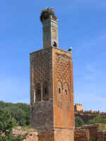 chellah26.jpg (62790 bytes)