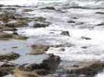 water12.jpg (108273 bytes)