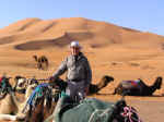 camels03.jpg (67089 bytes)