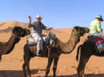 camels05.jpg (60999 bytes)