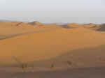 dune walk05.jpg (26016 bytes)