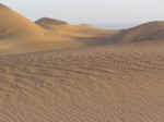 dune walk08.jpg (45513 bytes)