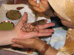 henna04.jpg (58628 bytes)