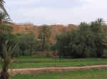 mellah01.jpg (60479 bytes)