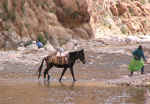 todra gorge12.jpg (94960 bytes)
