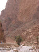 todra gorge16.jpg (77202 bytes)
