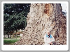 John by an old tree on the palace grounds